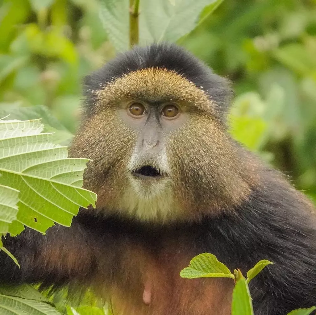 15 Wildlife Photos to Make You Smile