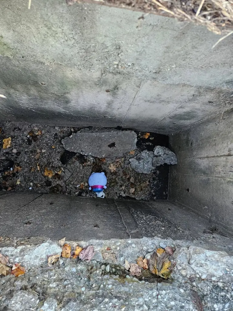 Public works employee rescues stuffed animal from storm drain