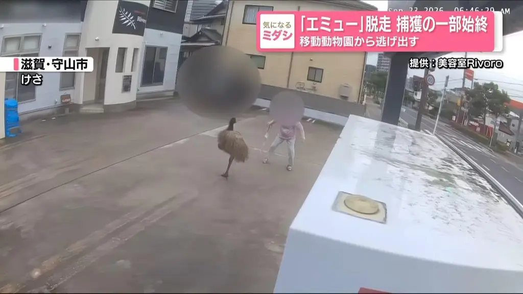 Emu escapes from Japanese zoo, leads police on 2-hour chase