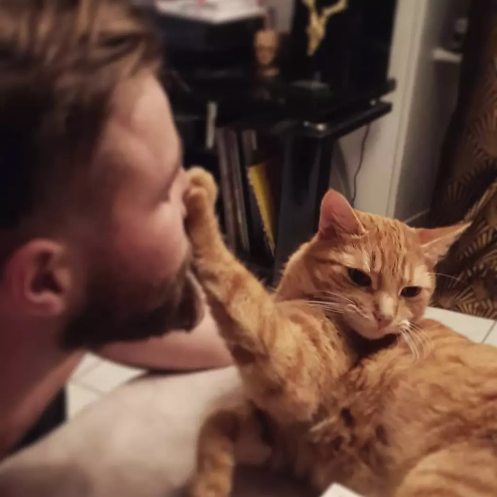 Cats Rejecting Love
