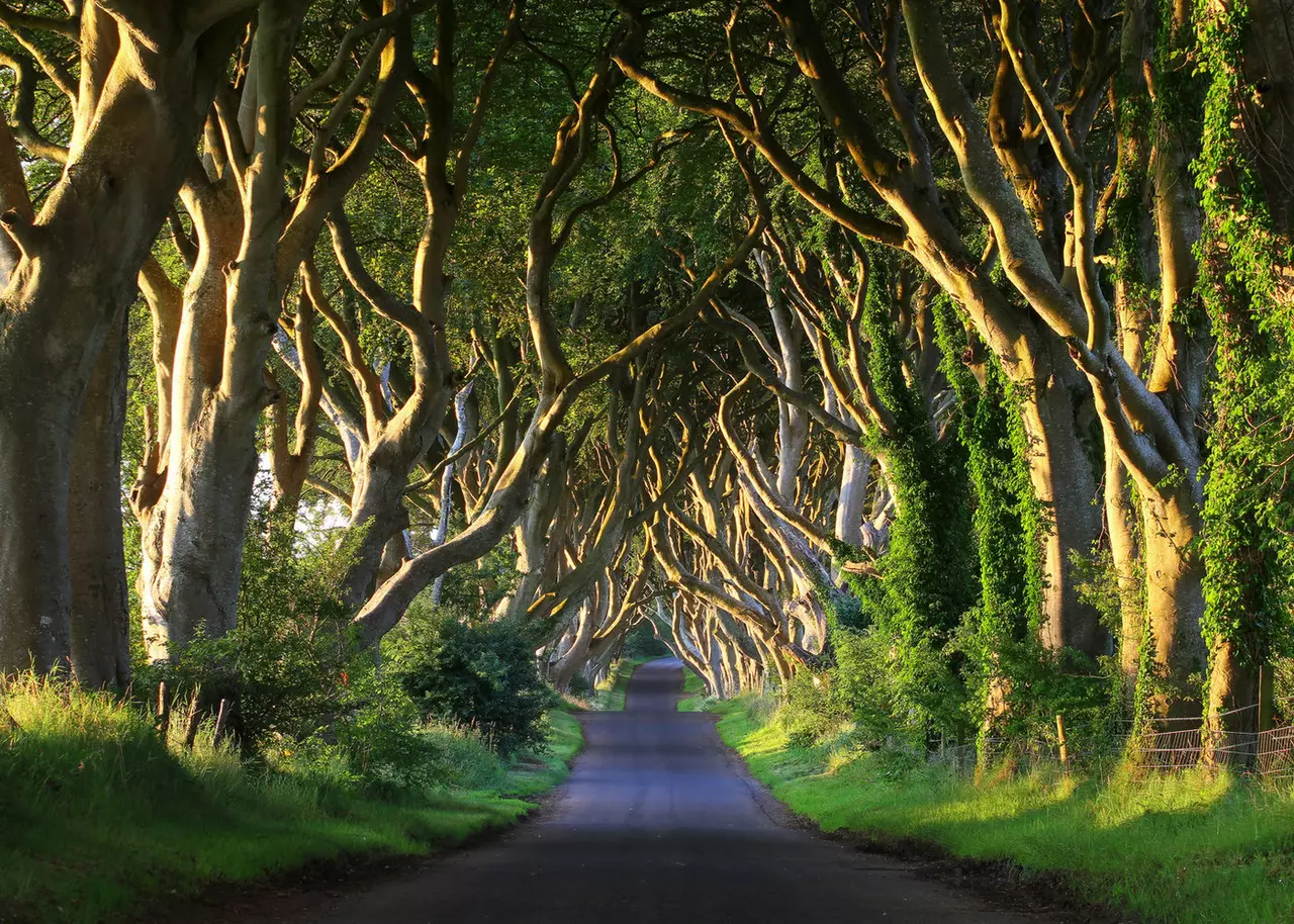 Ditch the Remote! Visit These Real-Life TV Landmarks Instead