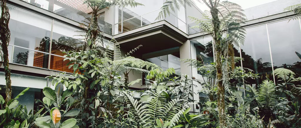 Shelter: Mashpi Lodge