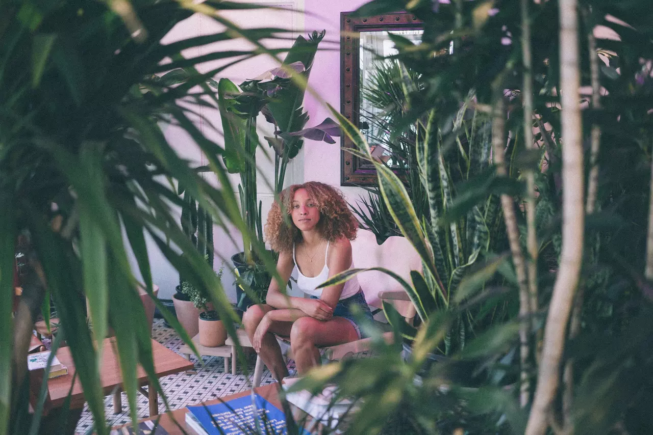 Do houseplants really improve the air quality in your home?