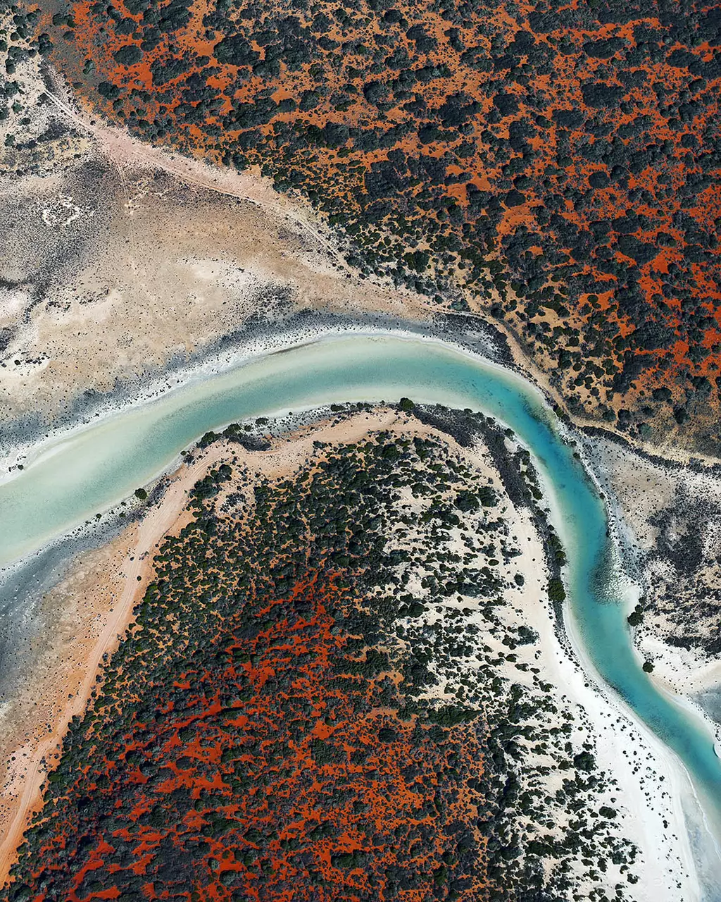 Australia's Stunning Shark Bay