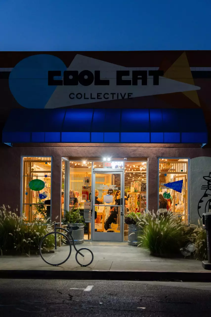Enjoy your fiction in the company of foster cats at this  boutique
