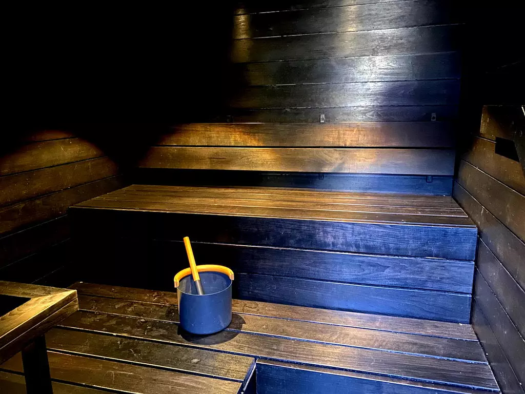 9 Amazing Airline Lounge Amenities, From Saunas, To Ducks, To Gyms