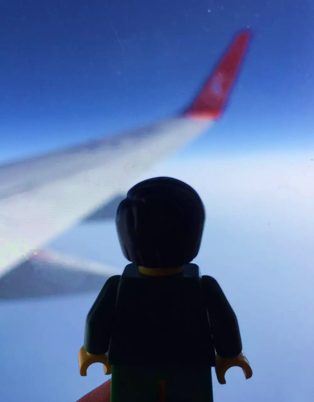 These Lovebirds Travel with LEGO Versions of Each Other