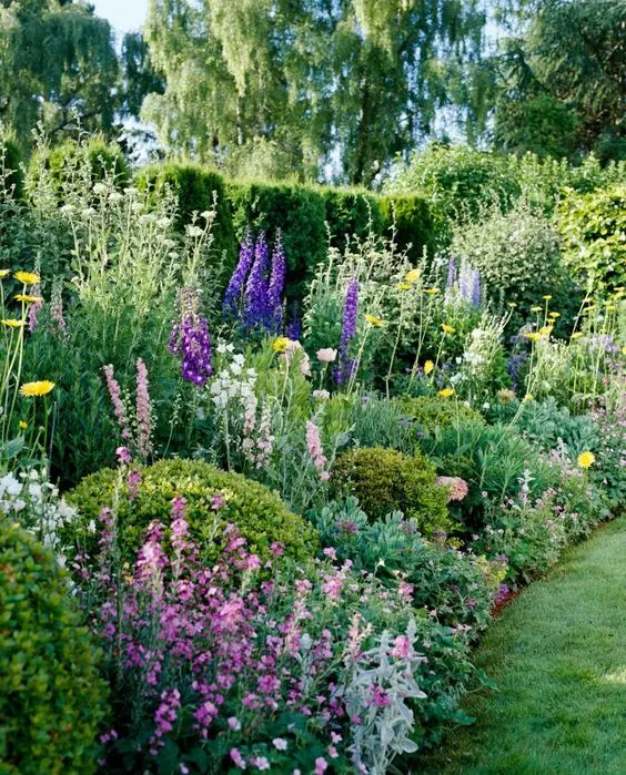 Create a Cottage Garden with these Beautiful Plants