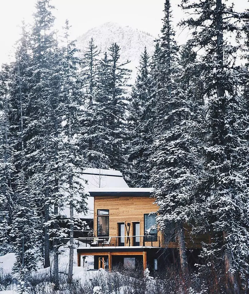 Shelter by The Cabin Chronicles