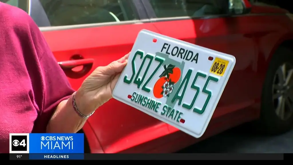 Elderly Florida woman shocked by suggestive license plate