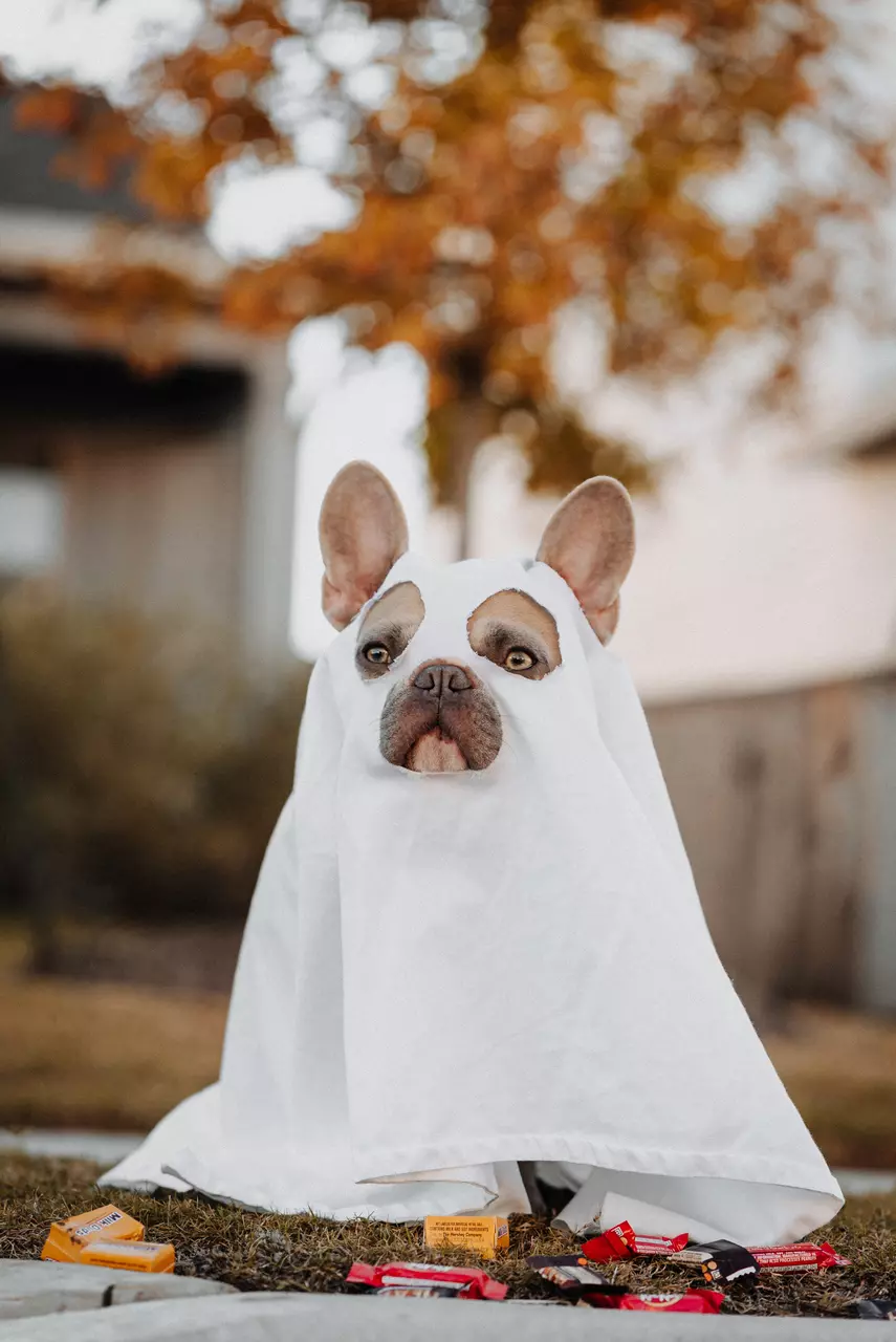 Get Ready for Halloween with these Easy Costume Ideas