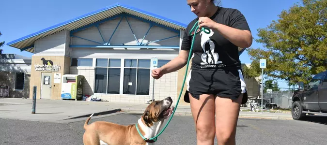 Meth burn by FBI smokes out Montana animal shelter