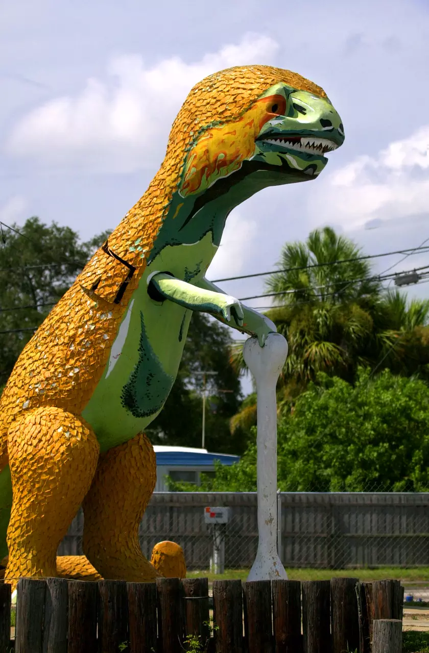 These Florida Attractions are Insane