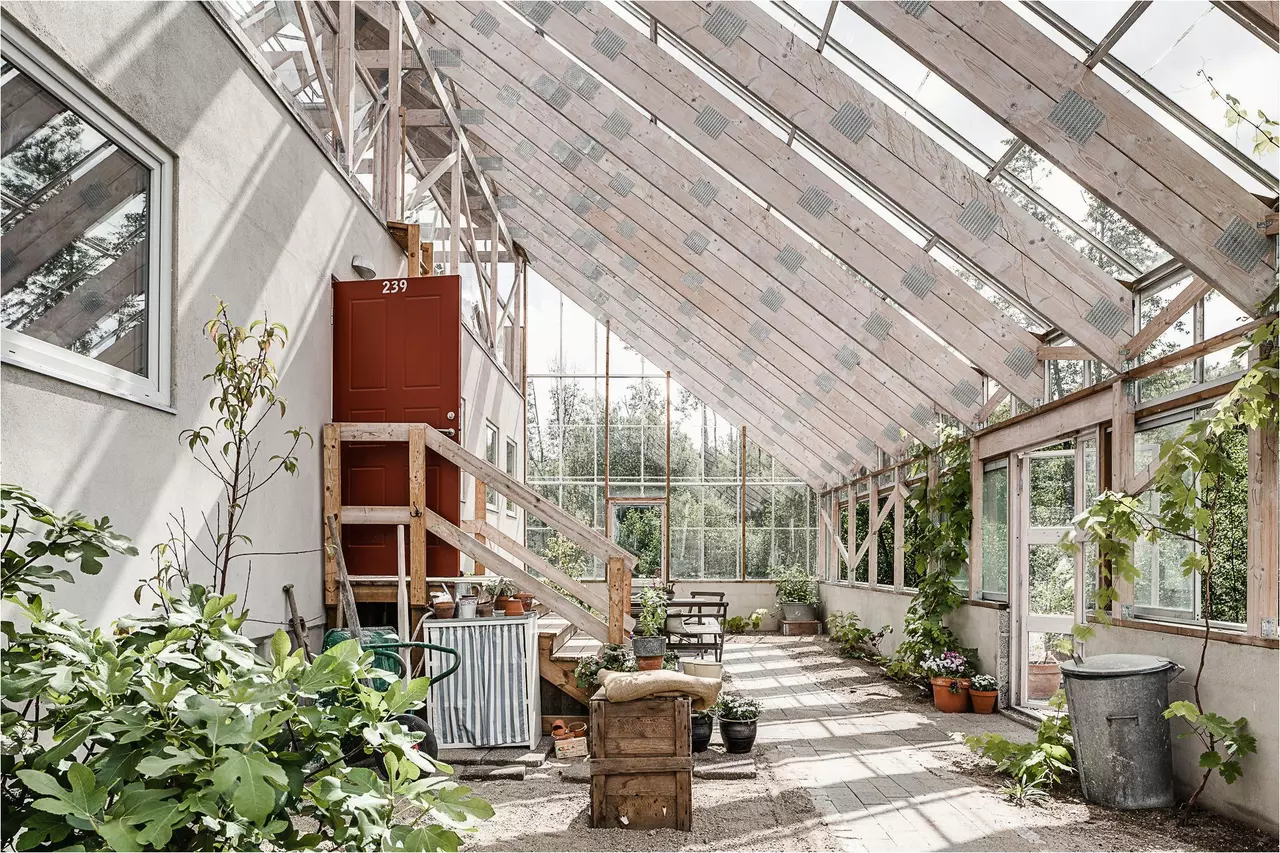 Grow Like a Plant, Live in a Greenhouse