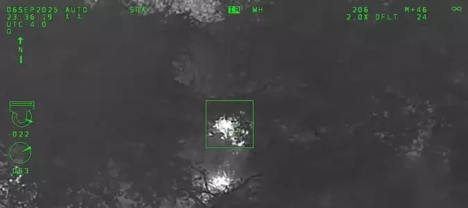 Florida K-9 tracking a suspect finds bear in the woods