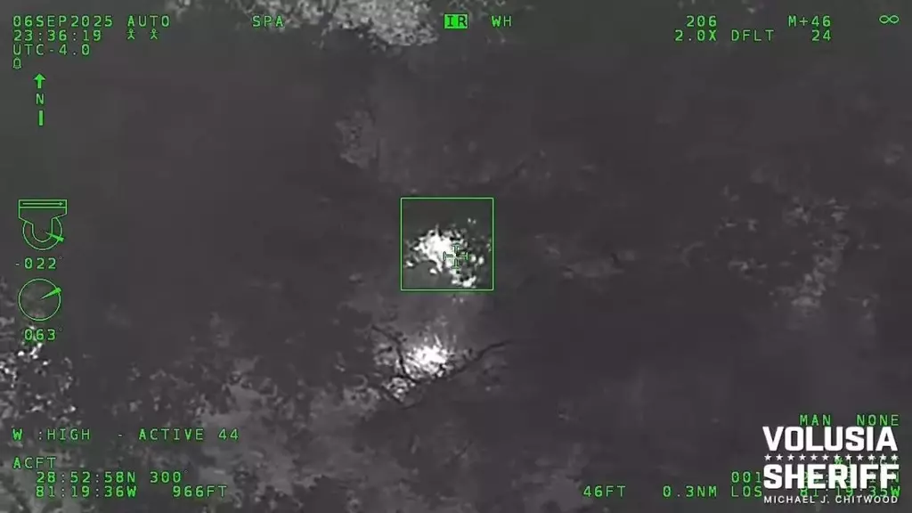 Florida K-9 tracking a suspect finds bear in the woods