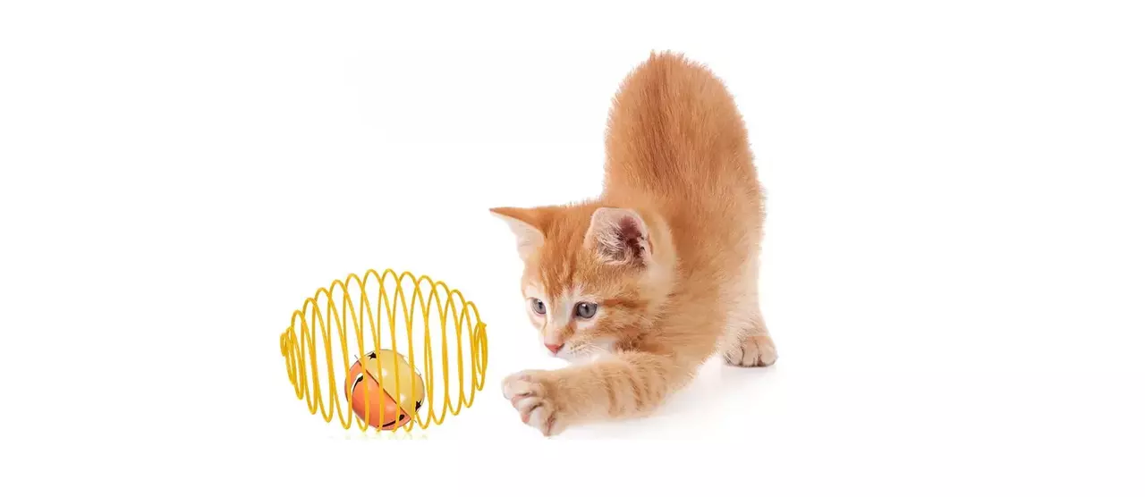 10 Best-Selling Cat Toys & Accessories on Amazon