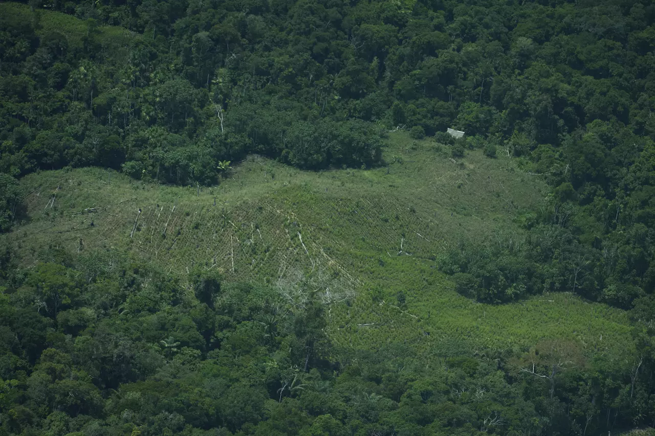 Peru rejects creation of Amazon reserve to protect uncontacted tribes, drawing Indigenous outcry