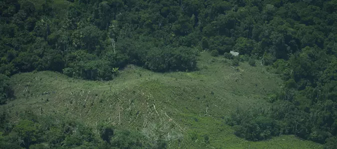 Peru rejects creation of Amazon reserve to protect uncontacted tribes, drawing Indigenous outcry