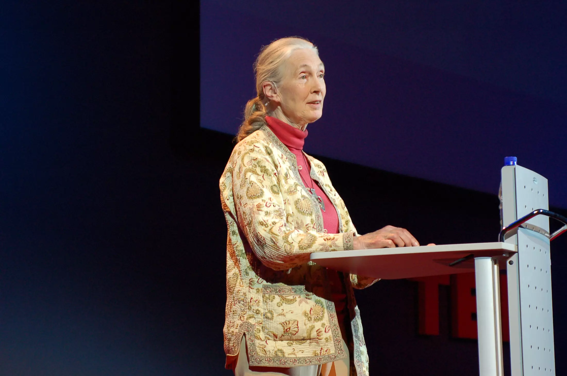 Women's History Spotlight: Dr. Jane Goodall