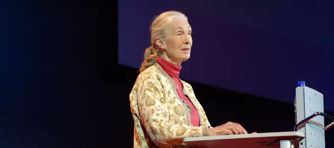 Women's History Spotlight: Dr. Jane Goodall