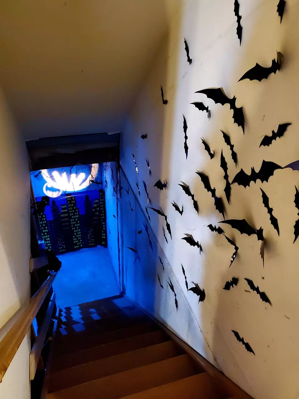 Batman Fan’s Boyfriend Throws Her the Surprise Party of a Lifetime