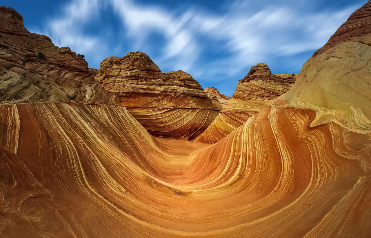 Amazing Sand Waves and a Strangling Plant