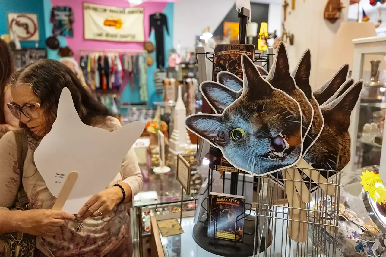 One-eyed rescue cat with cult following celebrates 15th birthday in style