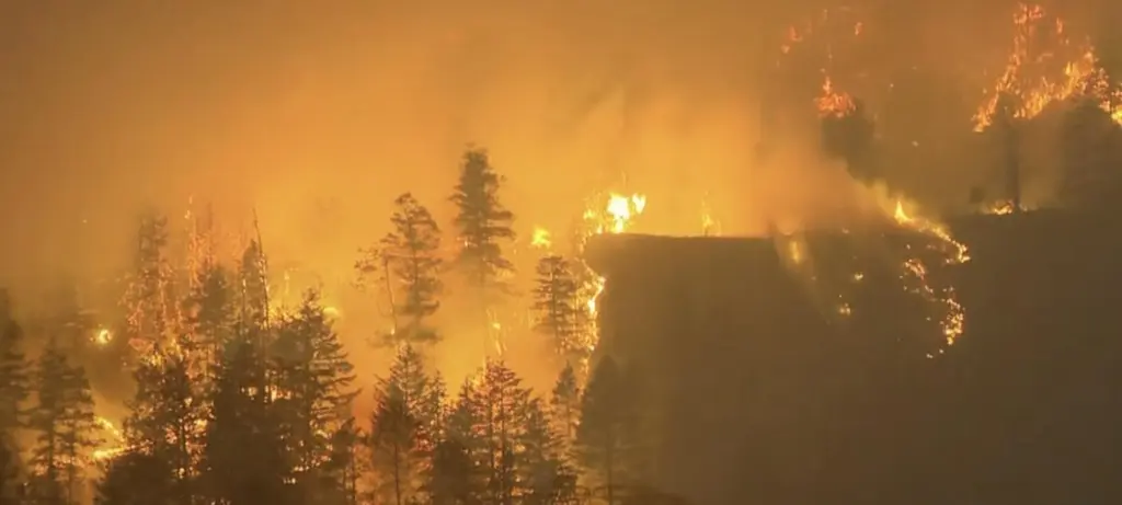 Woman dies in fast-moving B.C. wildfire as thousands evacuate