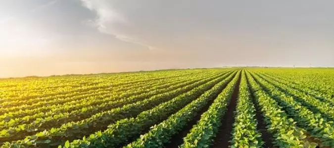 USDA plans trade mission to Taiwan to boost agriculture exports