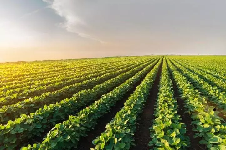 USDA plans trade mission to Taiwan to boost agriculture exports