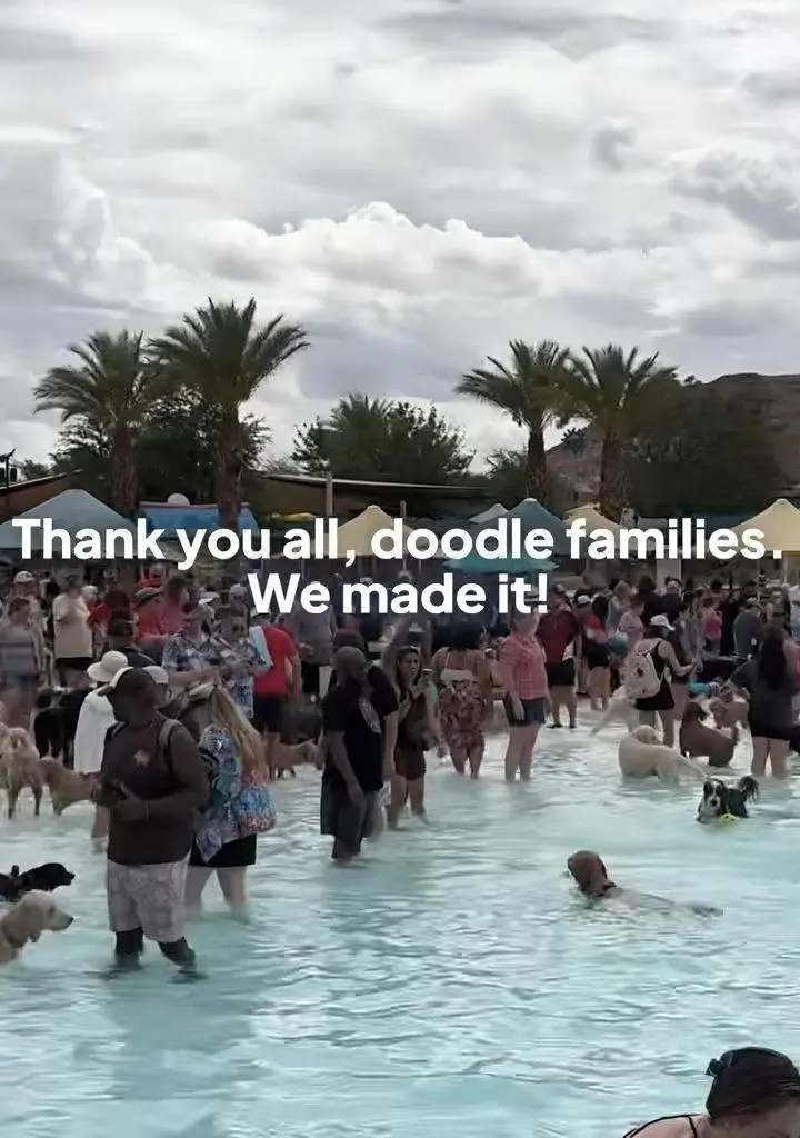 Nearly 300 dogs attend pool party to break world record in Nevada
