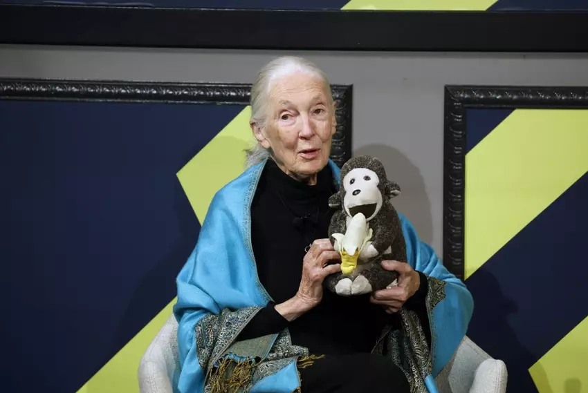 Jane Goodall speaks at Forbes Sustainability Leaders Summit