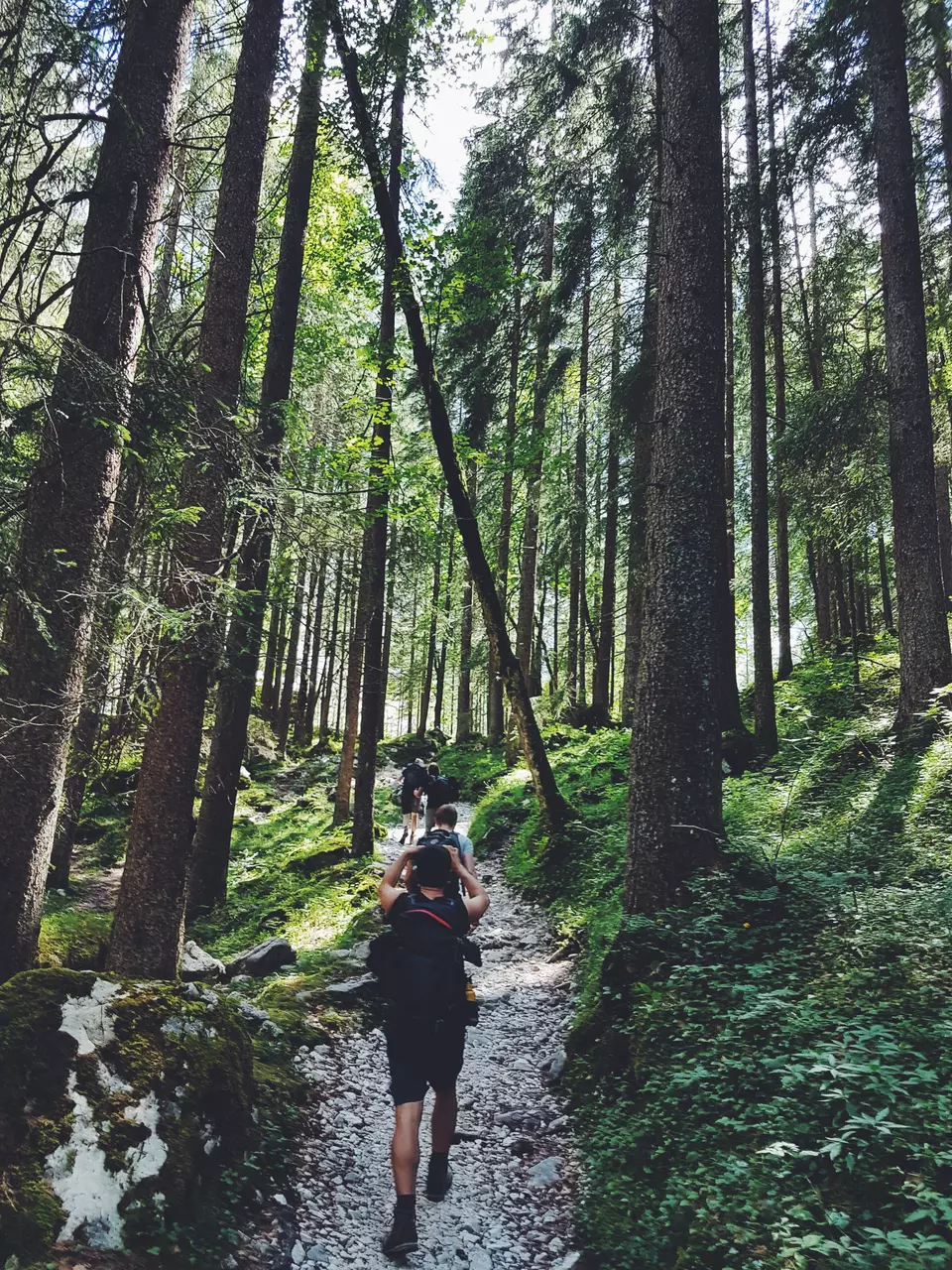 6 Super Cool Staycation Ideas