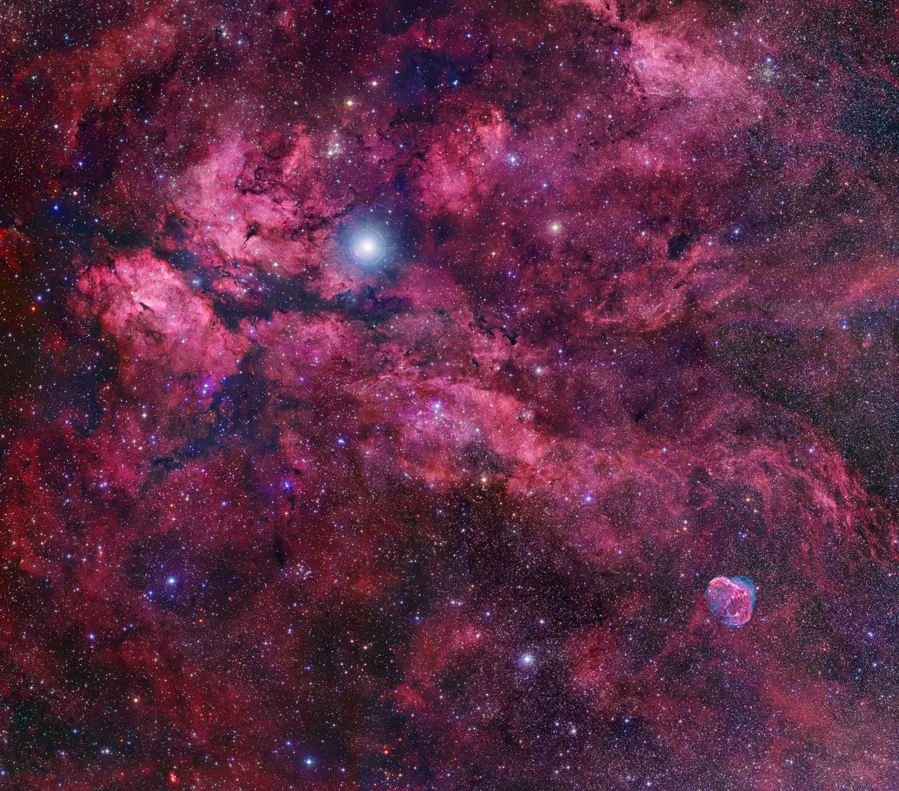 Orion's Heart, Fast Stars and Rogue Planets