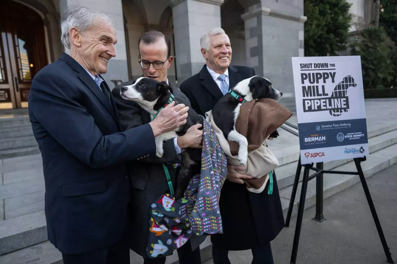 California lawmakers pass bill that will bar some popular puppy sellers