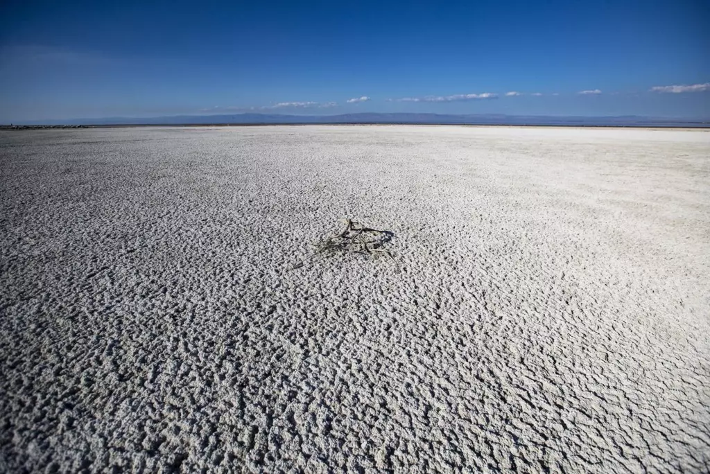 Dust from California's shrinking Salton Sea is harming lung growth
