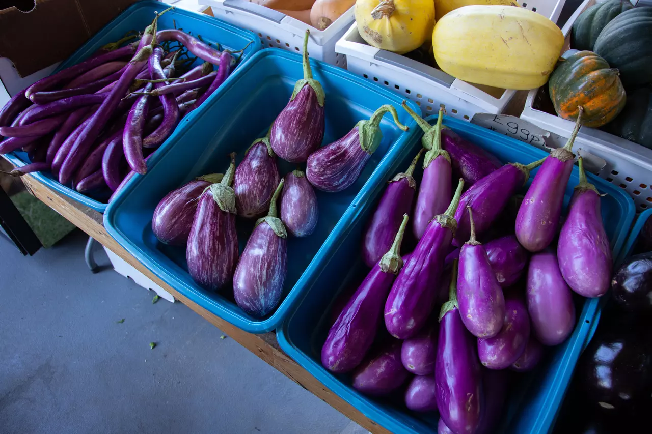 These 12 Vegetables Could Kill You if Eaten Raw