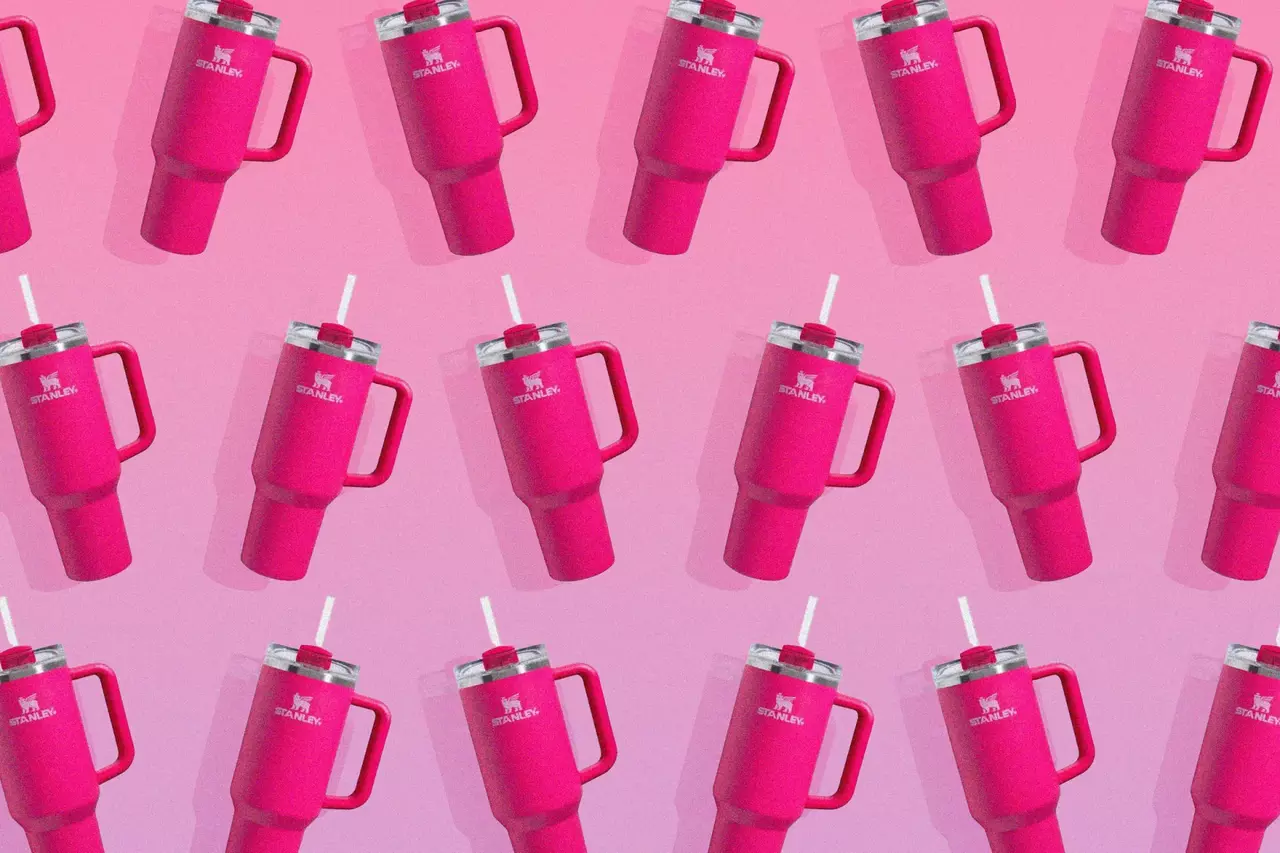 What's So Wonderful about Stanley Tumblers?