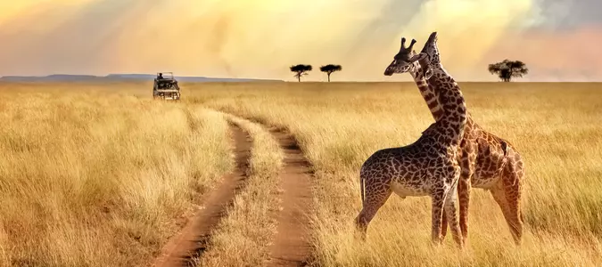 Underrated Travel Destinations for Your Bucket List