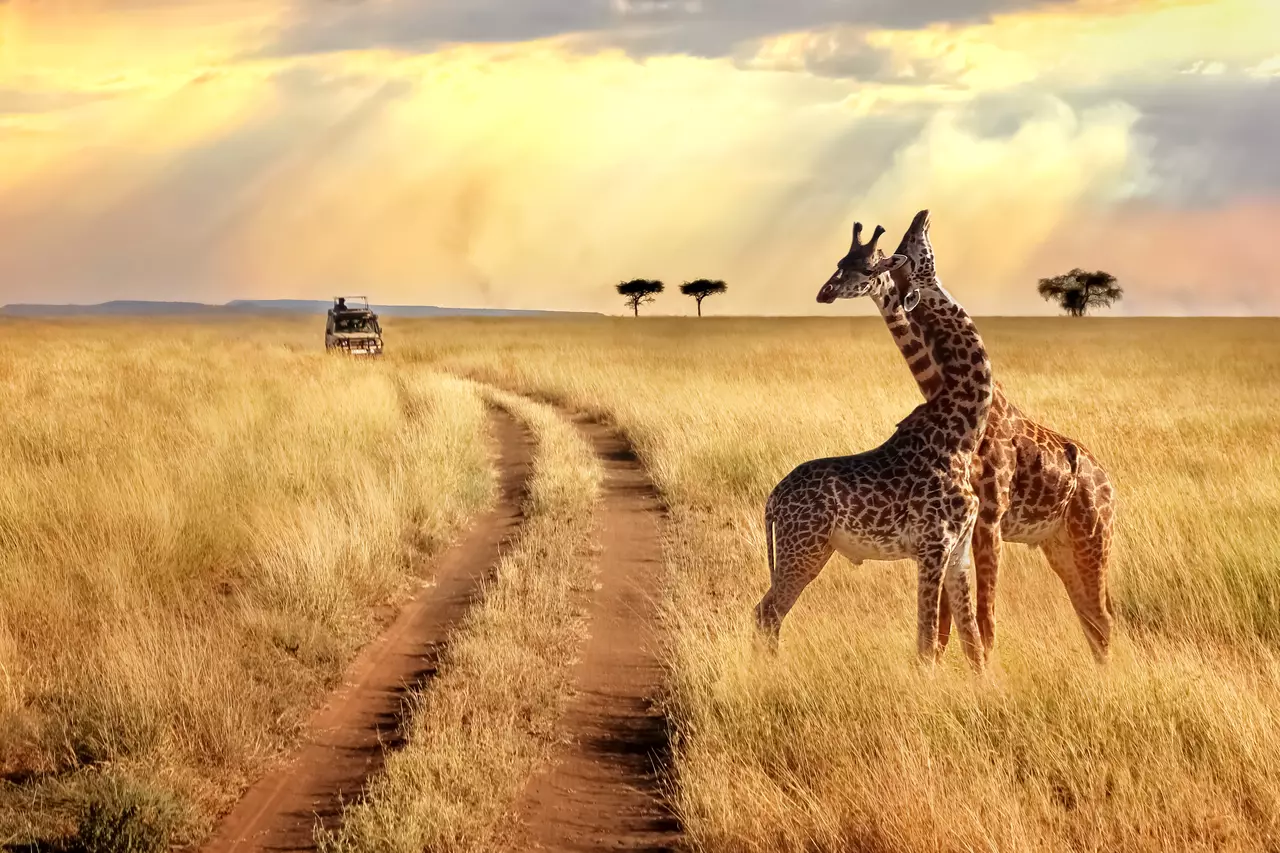 Underrated Travel Destinations for Your Bucket List