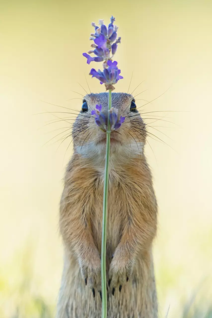 9 Hilarious and Gorgeous Shots from Around the World