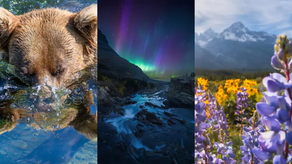 2025 National Park Photo Contest Winners