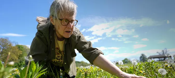 Foraging revival: How wild food enthusiasts are reconnecting with nature