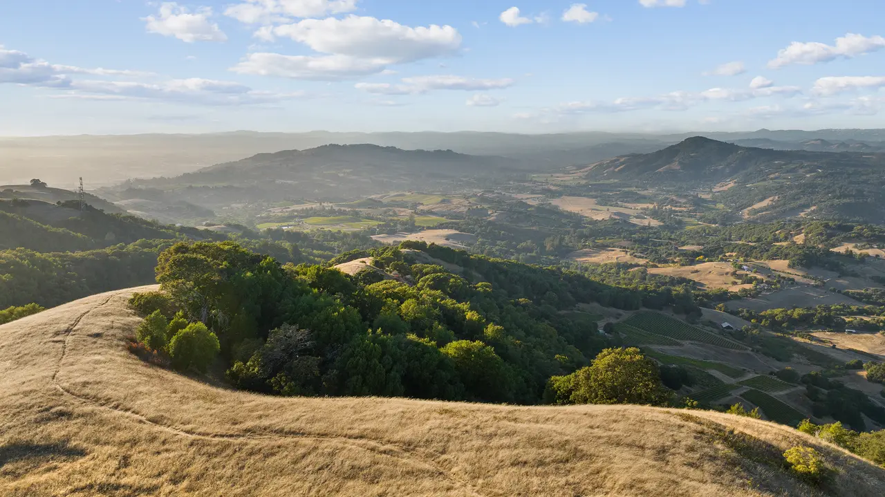 California's oldest family-owned winery declares bankruptcy as wine industry struggles