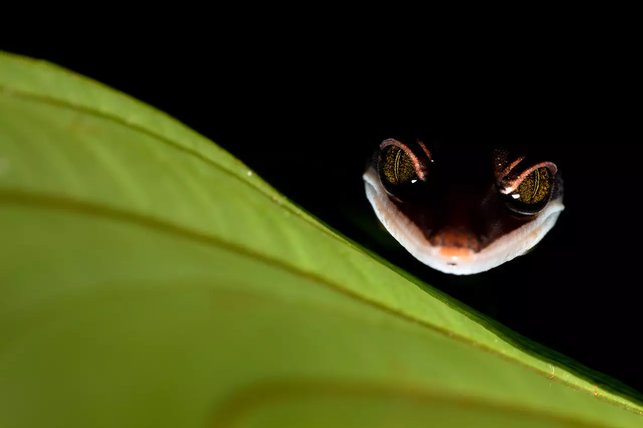 Astoundingly Detailed Up-close Photos