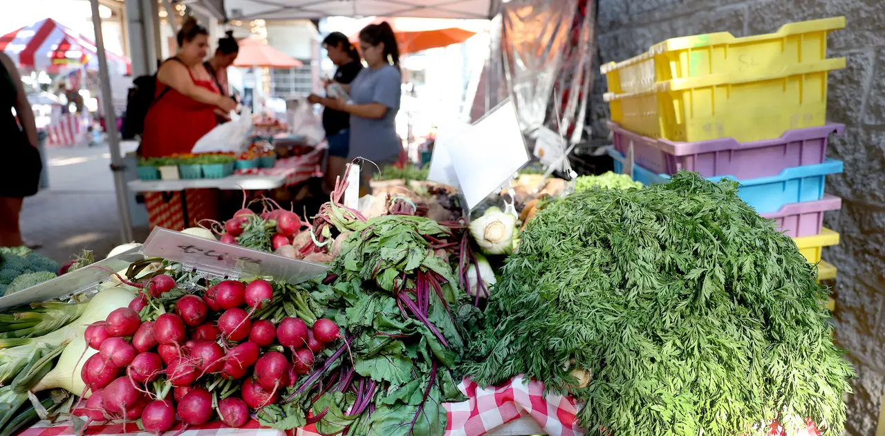 Some Texas cyclospora cases linked to larger outbreak, but parasite season still winding down