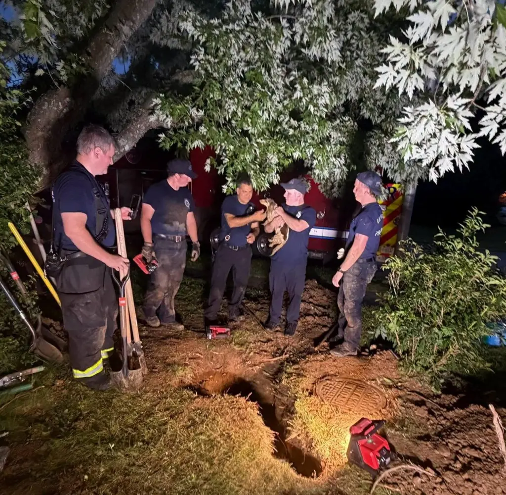 Dog rescued from 'maze-like cave system' under owner's Ky. yard