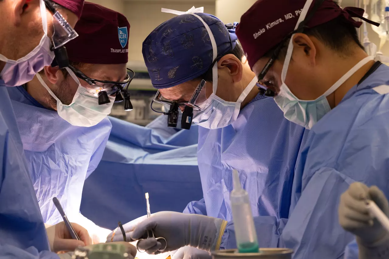 Another New Hampshire man gets a pig kidney as transplant trials are poised to start