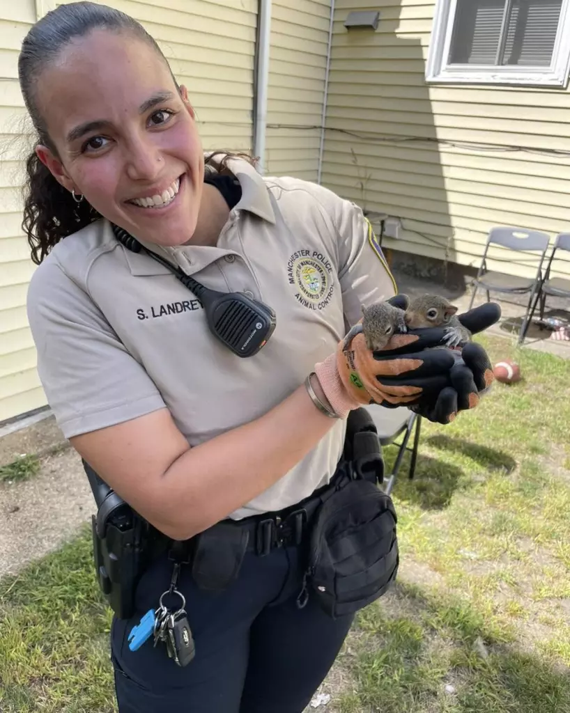 Baby squirrels rescued from inside barbershop wall